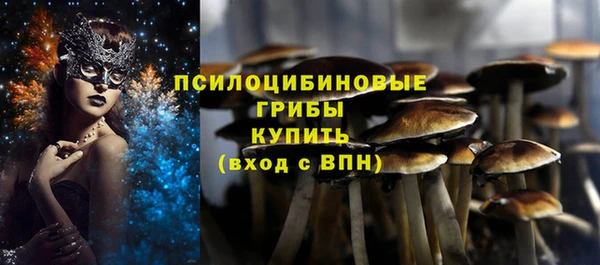 прущая мука Арсеньев