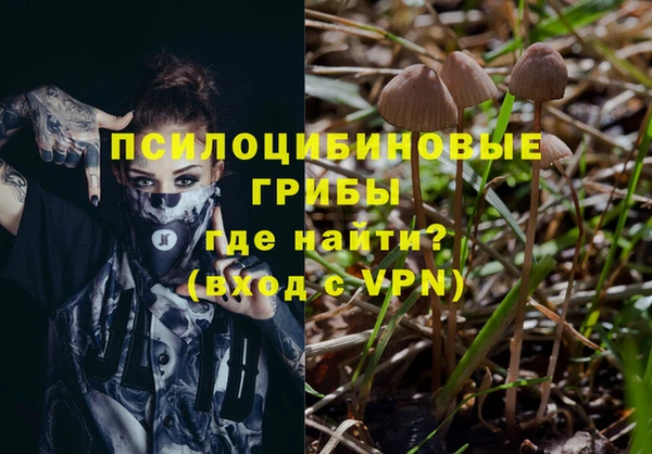 jwh Армянск