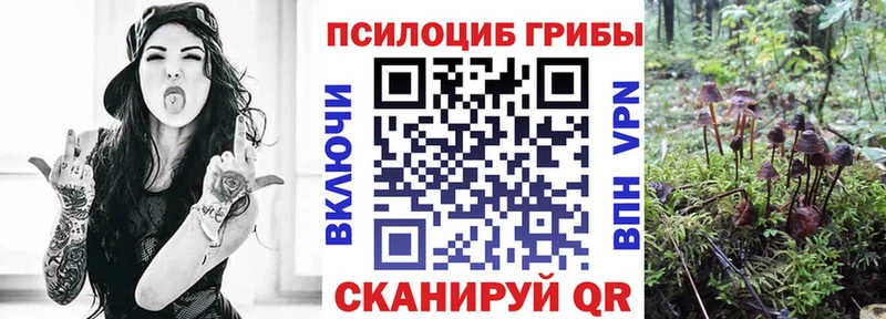 Псилоцибиновые грибы MAGIC MUSHROOMS  купить   Губкинский 